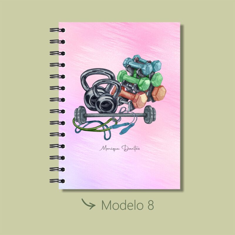 Modelo 8