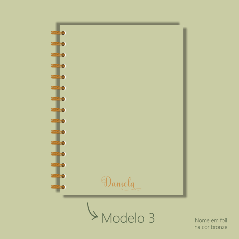 Modelo 3