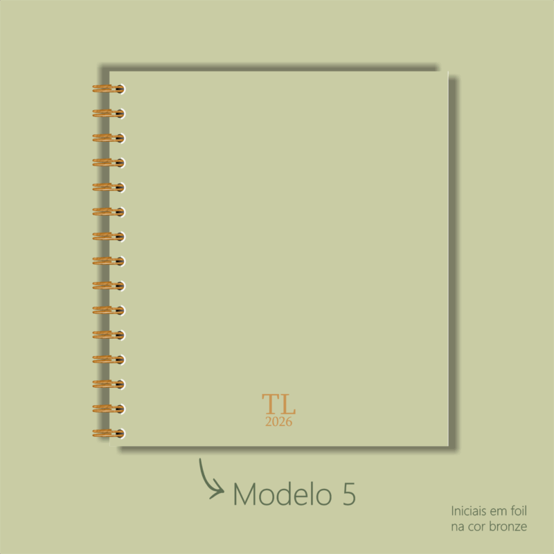 Modelo 5