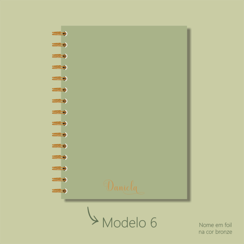 Modelo 6