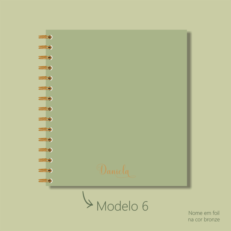 Modelo 6