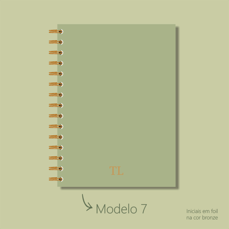 Modelo 7