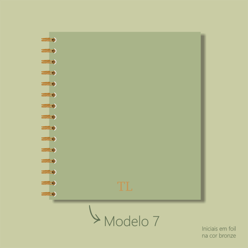 Modelo 7