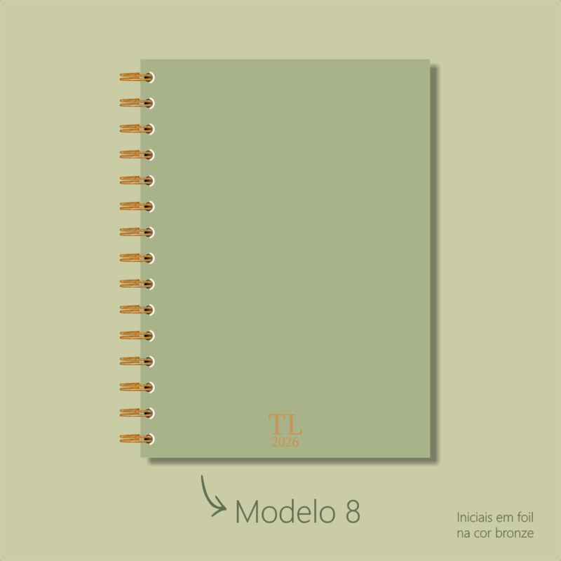 Modelo 8