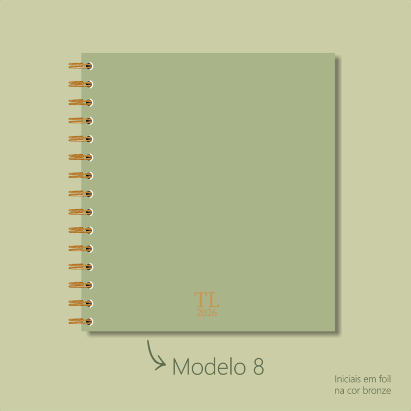 Modelo 8