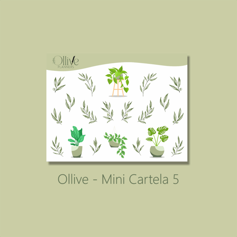 Mini cartela 5
